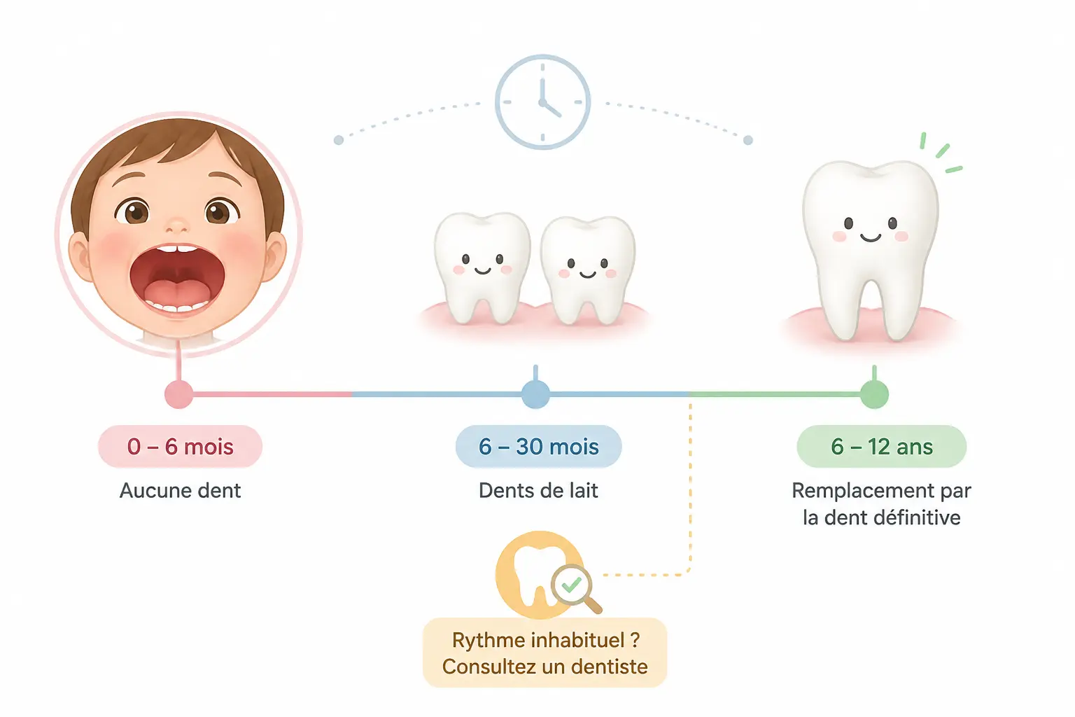 Quand tombent-elles, et que faire si le rythme semble inhabituel ?