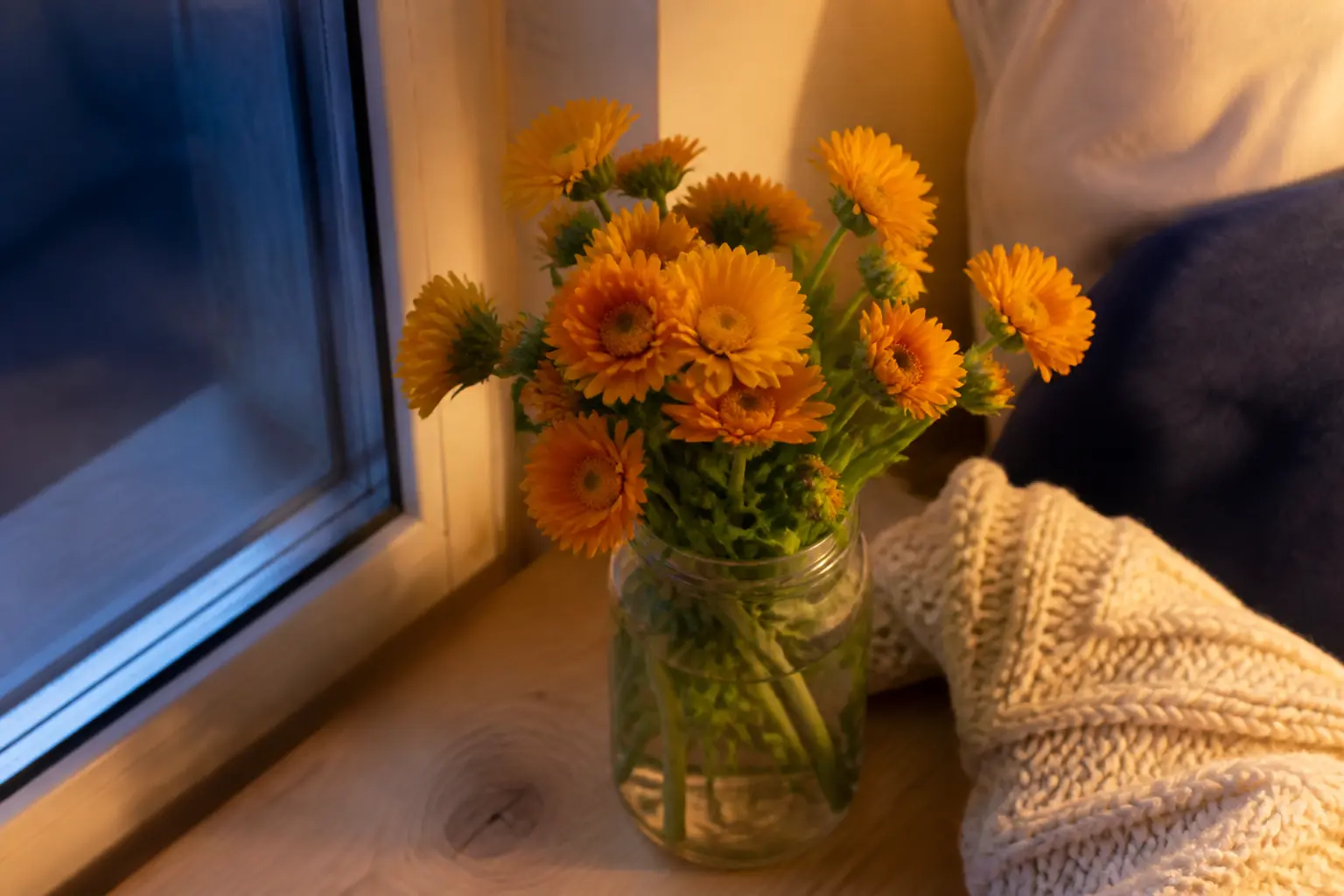 Bouquet de calendulas sur table en bois près d’une fenêtre, fleur de naissance octobre, lumière chaude du soir